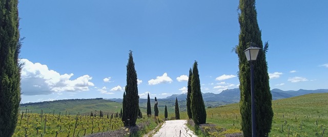 Bodegas Ramos-Paul. Photo © Karethe Linaae